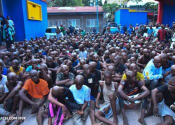 Kinshasa : 96 présumés Kulunas identifiés devant le tribunal militaire de garnison de Ngaliema