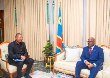 Haut-Katanga : Martin Kazembe présente la situation économique et sécuritaire de la province au président Félix Tshisekedi