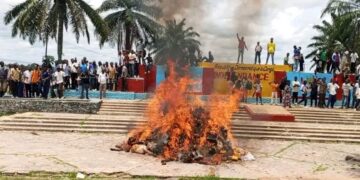 Kananga : incinération de plusieurs colis du chanvre intercepté au péage de Lulua