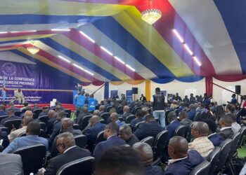 RDC : des gouverneurs favorables au changement de la Constitution