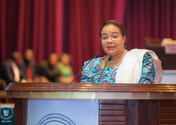 Assemblée nationale : la ratification de l’accord de paix RDC–Rwanda présentée comme une étape importante pour sa mise en œuvre