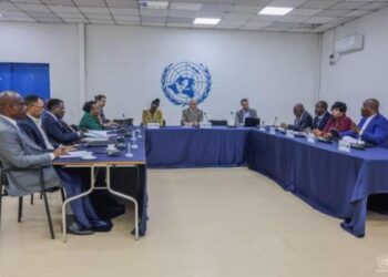 Kinshasa : le nouveau chef de la MONUSCO lance des consultations politiques avec l’opposition et la société civile