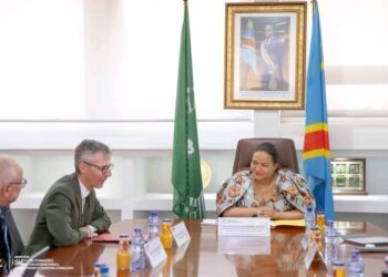 RDC-Allemagne : Kinshasa et Berlin échangent sur la crise humanitaire à l’Est