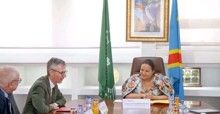 RDC-Allemagne : Kinshasa et Berlin échangent sur la crise humanitaire à l’Est