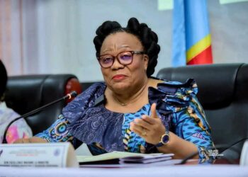 Qualité de l’enseignement supérieur en RDC : La ministre interpellée au Sénat