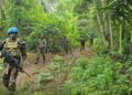 Guerre dans l&rsquo;Est : Intensification des opérations conjointes FARDC–MONUSCO pour la protection des civils au Nord-Kivu