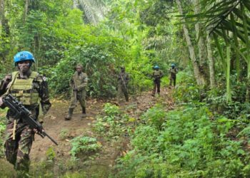 Guerre dans l&rsquo;Est : Intensification des opérations conjointes FARDC–MONUSCO pour la protection des civils au Nord-Kivu