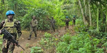Guerre dans l&rsquo;Est : Intensification des opérations conjointes FARDC–MONUSCO pour la protection des civils au Nord-Kivu