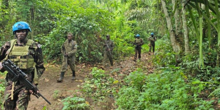 Guerre dans l&rsquo;Est : Intensification des opérations conjointes FARDC–MONUSCO pour la protection des civils au Nord-Kivu
