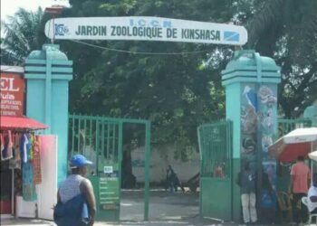 Dossier FRIVAO : 4 millions de dollars décaissés en lieu et place de 700.000 pour la réhabilitation du zoo de Kisangani , l&rsquo;ICCN sur le banc des accusés