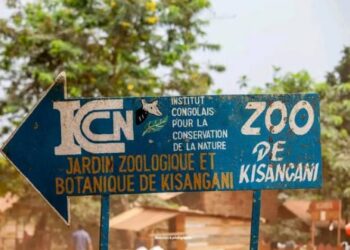 Dossier FRIVAO : 4 millions de dollars décaissés en lieu et place de 700.000 pour la réhabilitation du zoo de Kisangani , l&rsquo;ICCN sur le banc des accusés