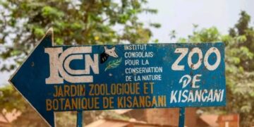 Dossier FRIVAO : 4 millions de dollars décaissés en lieu et place de 700.000 pour la réhabilitation du zoo de Kisangani , l&rsquo;ICCN sur le banc des accusés