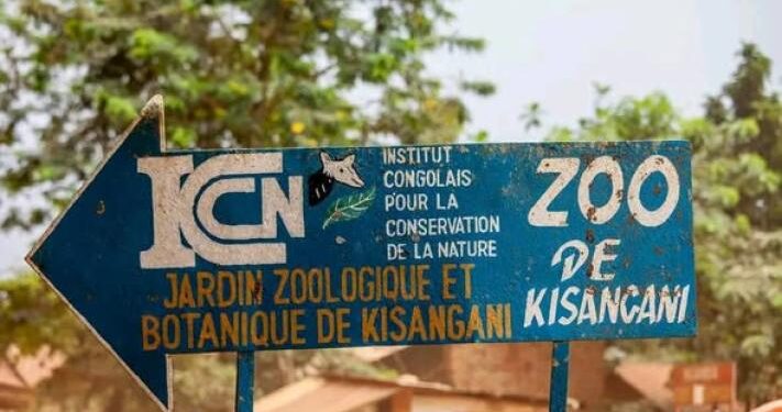 Dossier FRIVAO : 4 millions de dollars décaissés en lieu et place de 700.000 pour la réhabilitation du zoo de Kisangani , l&rsquo;ICCN sur le banc des accusés