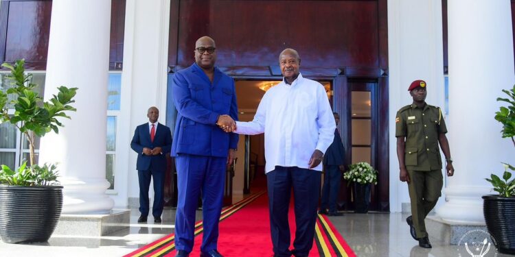 Coopération RDC-Ouganda : malgré la persistance des attaques des ADF, Kinshasa et Kampala maintiennent la poursuite sans faille de l’opération SHUJAA