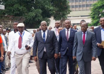 RDC: « Félix Tshisekedi manœuvre désormais à découvert pour un troisième mandat » ( Delly Sesanga )