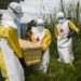 RDC : Le Gouvernement déclare une nouvelle résurgence d’Ebola en Ituri, déjà 80 décès enregistrés (Document)
