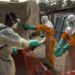 RDC : Les États-Unis annoncent un appui d’urgence contre l’épidémie d’Ebola en RDC et en Ouganda