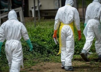Ebola en RDC : 3,5 millions de dollars mobilisés pour éviter une catastrophe régionale