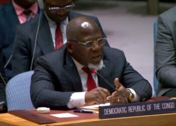 Guerre dans l&rsquo;Est de la RDC : « Le dialogue ne doit pas céder la place à une logique belliqueuse  » (Zénon Mukongo)