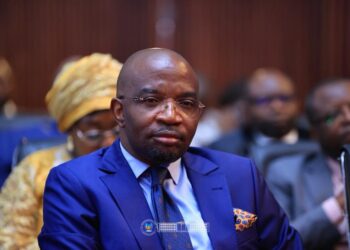 Formation professionnelle en RDC : Les députés saluent les réformes engagées par le Ministre Marc Ekila Likombo et réclament plus de moyens