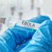 Ebola : l’OMS annonce plusieurs traitements pour des essais cliniques