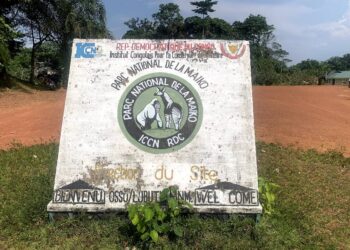 Mines: Louis Watum suspend les activités minières de Stone Mining SARLU et Xin Hong Kuan Ye SARL près du Parc national de la Maiko