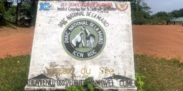 Mines: Louis Watum suspend les activités minières de Stone Mining SARLU et Xin Hong Kuan Ye SARL près du Parc national de la Maiko