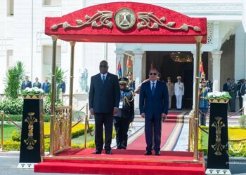 RDC–Égypte : Tshisekedi et Al-Sissi scellent de nouveaux accords stratégiques en diplomatie, santé et développement urbain