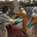 Épidémie d’Ebola Bundibugyo en RDC : L&rsquo;extension géographique se poursuit, 31 zones de santé désormais touchées (Ministère de la santé)