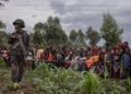 RDC–Rwanda : Kinshasa saisit la Cour internationale de Justice pour génocide, torture et discriminations