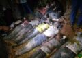 Kasaï Central : 10 morts et plusieurs blessés dans un accident de circulation sur la RN1, tronçon Kananga–Mbuji Mayi