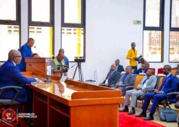 COPAP-RDC : les élus provinciaux réclament un cadre d’échanges direct avec le président Tshisekedi