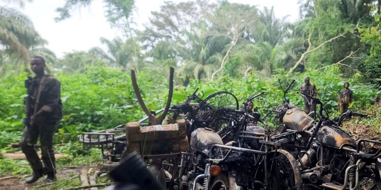 Ituri : au moins 16 civils tués lors d’une double incursion des ADF à Mandeite et Ndiapanda (Mambasa)