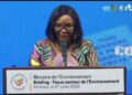 Gouvernance environnementale : la RDC se dote enfin d&rsquo;une politique forestière nationale