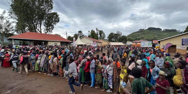 RDC : Plus de 12 000 personnes déplacées en deux semaines dans le Maniema , Haut-Uele , Tanganyika