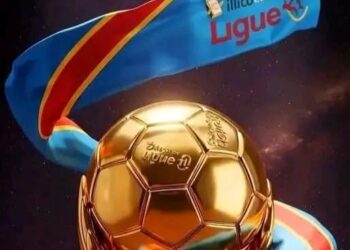 Linafoot : Le Comité de Gestion suspend à titre conservatoire les frais de participation et les qualifications des joueurs