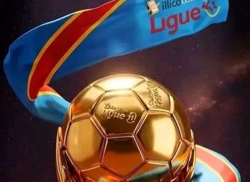 Linafoot : Le Comité de Gestion suspend à titre conservatoire les frais de participation et les qualifications des joueurs