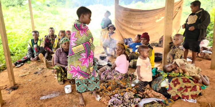 Maï-Ndombe : Plus de 5 000 déplacés de Kwamouth vivent dans la précarité à Ngabé, en République du Congo (Société civile)