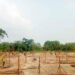Ebola en RDC : Kisangani se dote d’un nouveau centre de traitement extensible à 50 patients