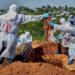 Flambée de Ebola en RDC : Près de 6 000 cas confirmés et 2 862 décès, l’Ituri demeure l’épicentre de l’épidémie