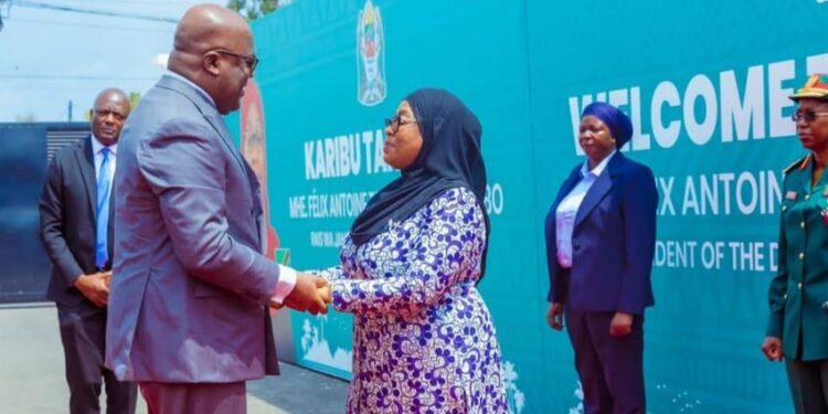 Tanzanie : Félix Tshisekedi met en avant l’expertise congolaise dans la lutte contre Ebola