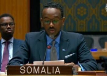 ONU : La RDC, la Libye et la Somalie réitèrent leur soutien à l’élimination totale des armes chimiques en Syrie