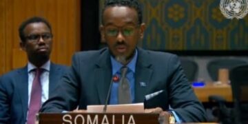 ONU : La RDC, la Libye et la Somalie réitèrent leur soutien à l’élimination totale des armes chimiques en Syrie