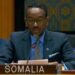 ONU : La RDC, la Libye et la Somalie réitèrent leur soutien à l’élimination totale des armes chimiques en Syrie
