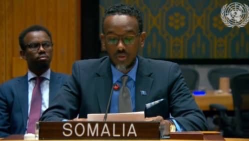 ONU : La RDC, la Libye et la Somalie réitèrent leur soutien à l’élimination totale des armes chimiques en Syrie