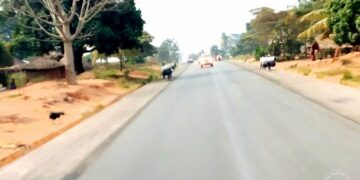 Kasaï Central : Trois morts dans un accident de circulation sur la route Kananga-Kalamba Mbuji