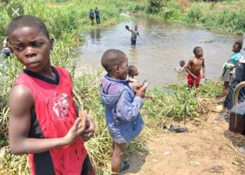 Lubumbashi : Des poissons retrouvés morts dans la rivière Mampala, les autorités appellent à ne pas les consommer