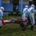 Ebola en RDC : Plus de 8 100 cas confirmés dans sept provinces
