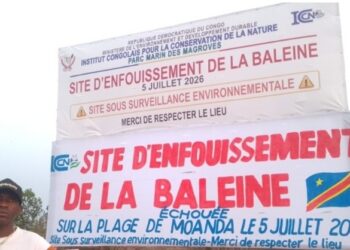Moanda : le Ministre du Tourisme Didier Mazenga propose de transformer le site d&rsquo;enfouissement de la baleine en attraction touristique