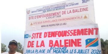 Moanda : le Ministre du Tourisme Didier Mazenga propose de transformer le site d&rsquo;enfouissement de la baleine en attraction touristique